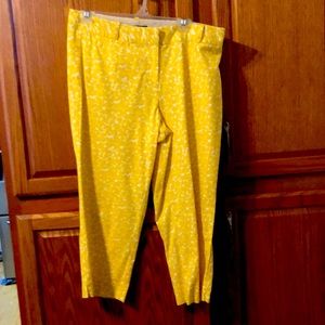 Talbots yellow & white capris size 12 Petite